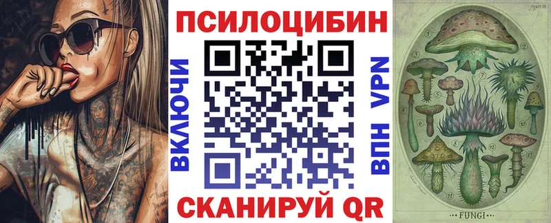 Купить Октябрьск Галлюциногенные грибы Psilocybe